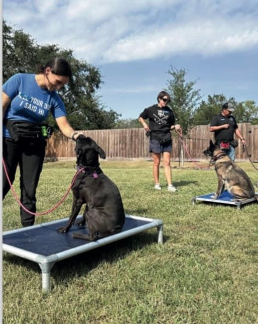 Dog Training - 4 week Session