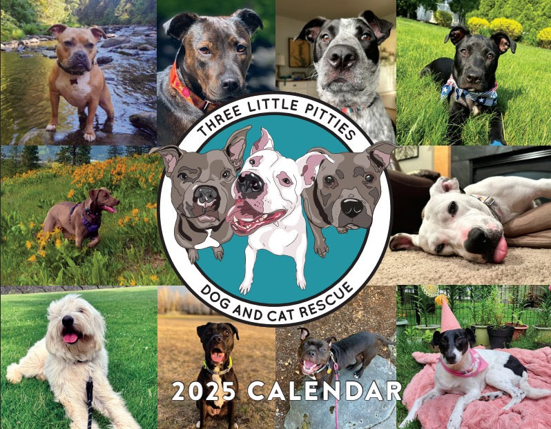 2025 Calendar