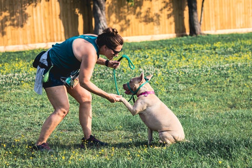 Gentle Leader Leash