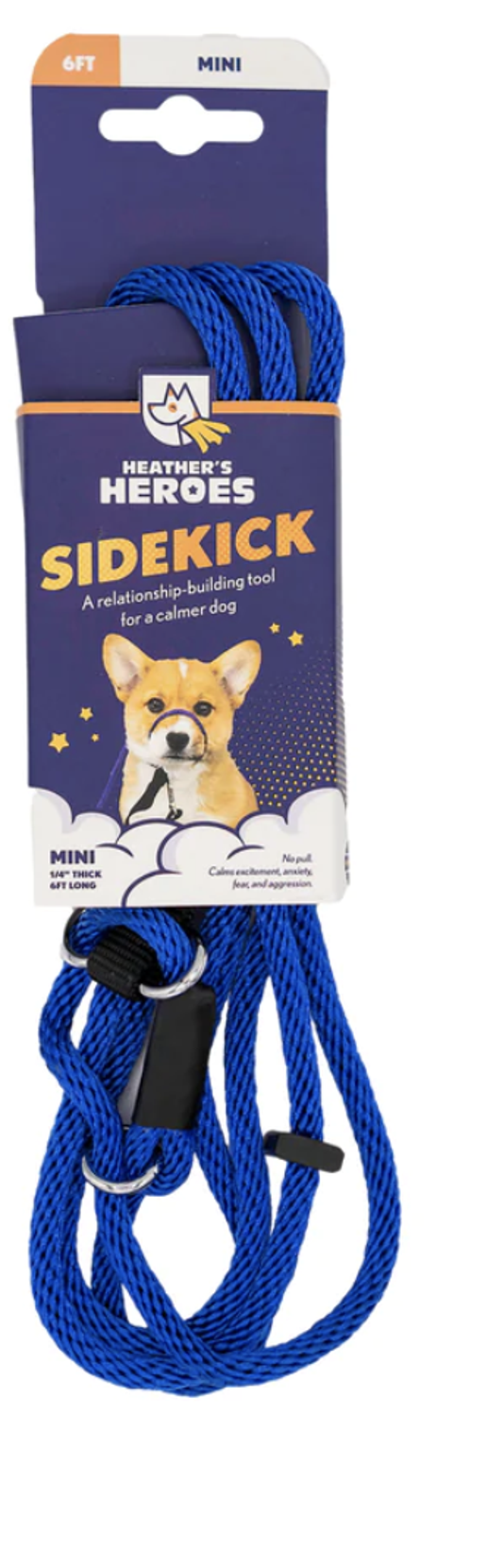 Gentle Leader Leash