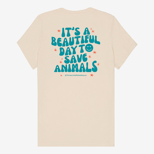 PREORDER "It's a Beautiful Day" Womens Tee