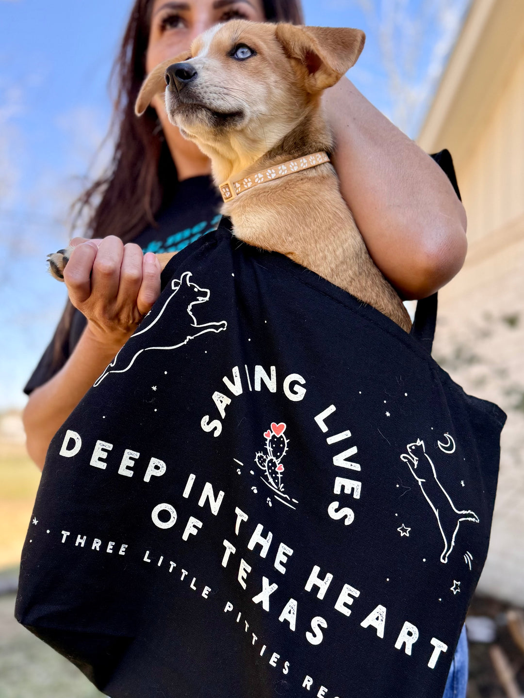 Deep in the Heart of Texas Tote