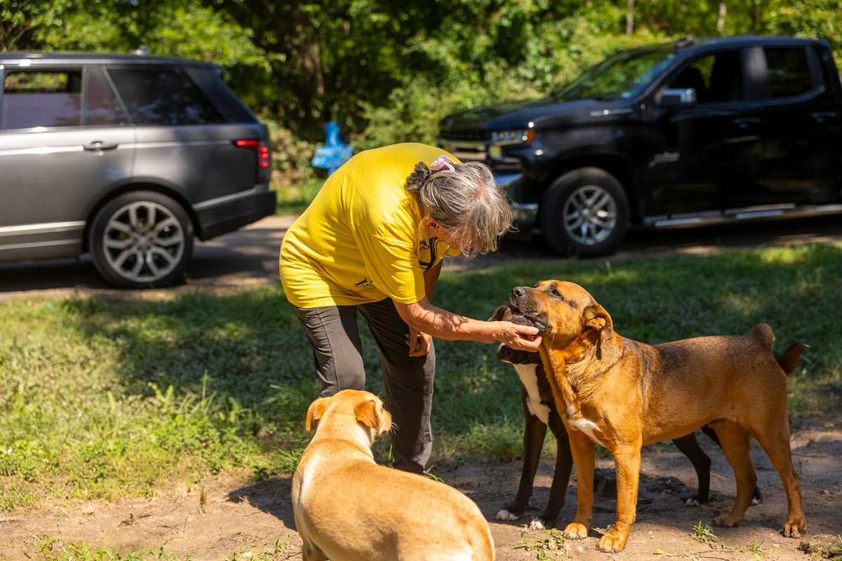 Three Little Pitties Rescue volunteers bringing rescue work into the community