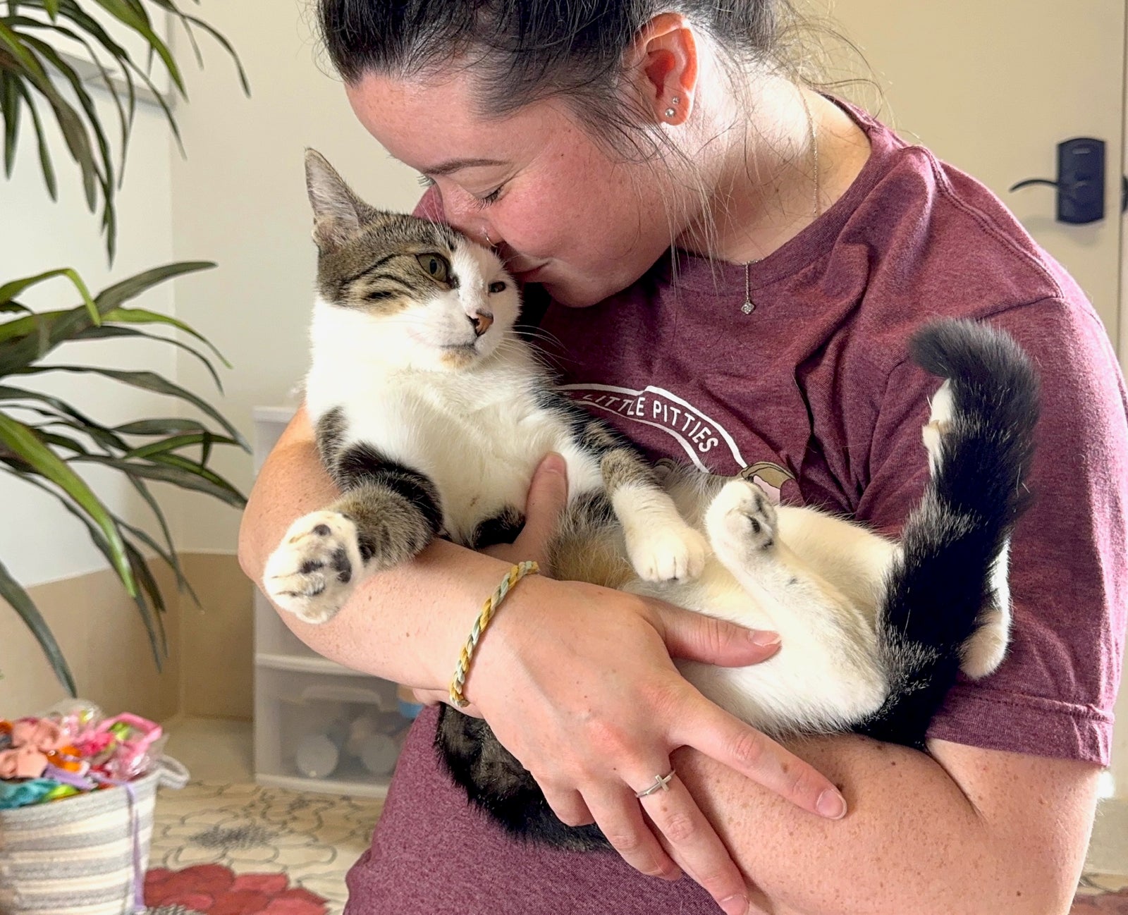 Rescued cat being held by a Three Little Pitties team member