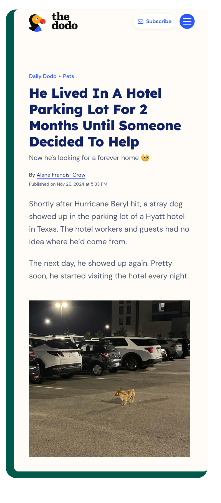 Article preview: The Dodo — Hyatt