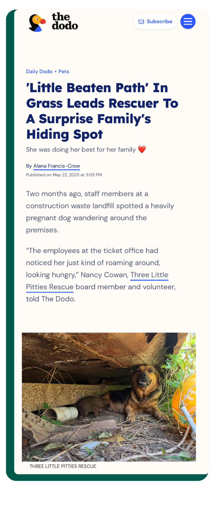 Article preview: The Dodo — Lucy’s Surprise