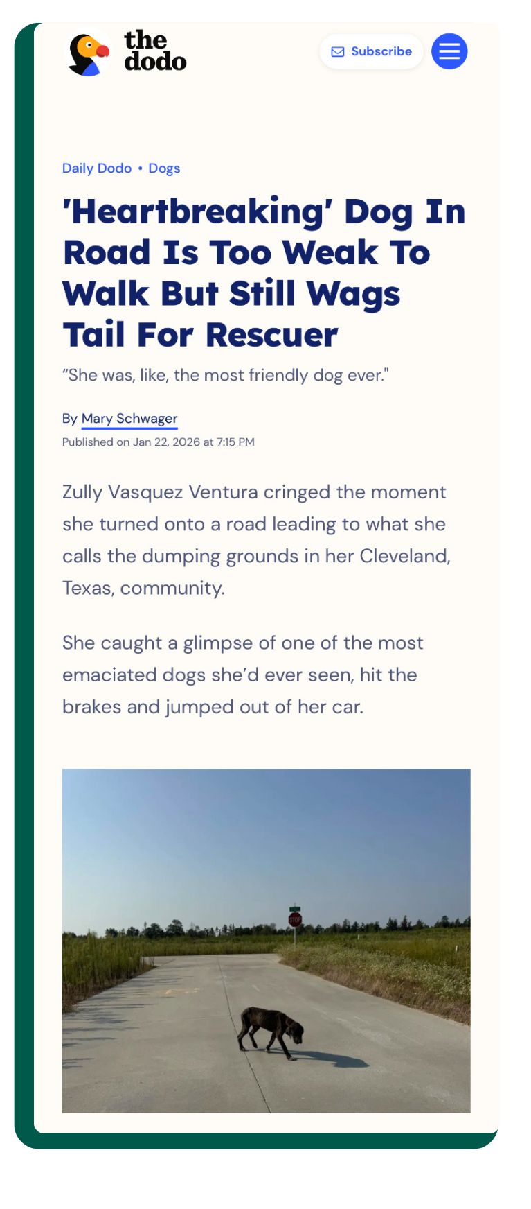 Article preview: The Dodo — Tabitha’s Story