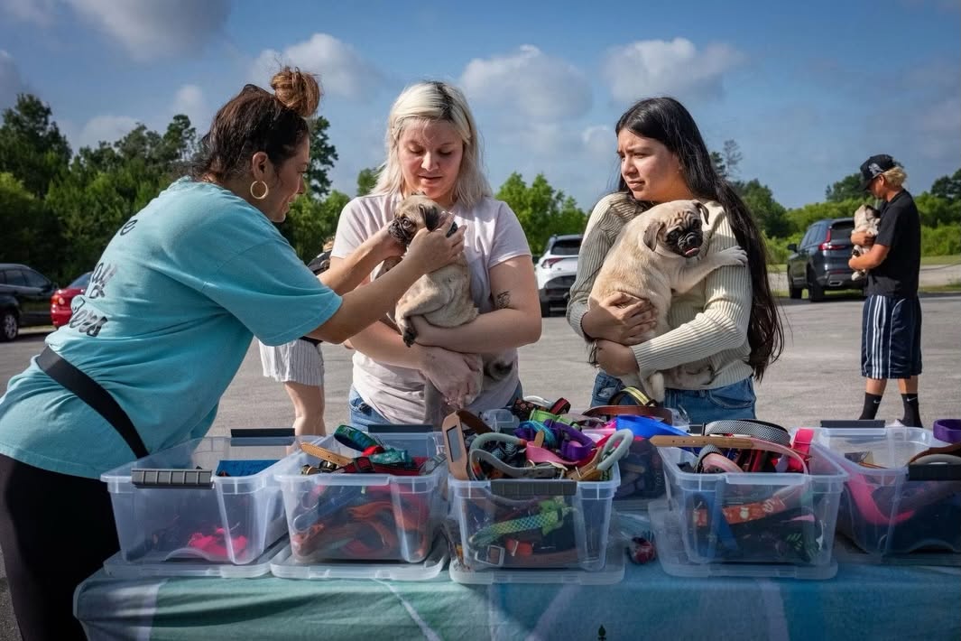 Community outreach volunteers helping families and puppies