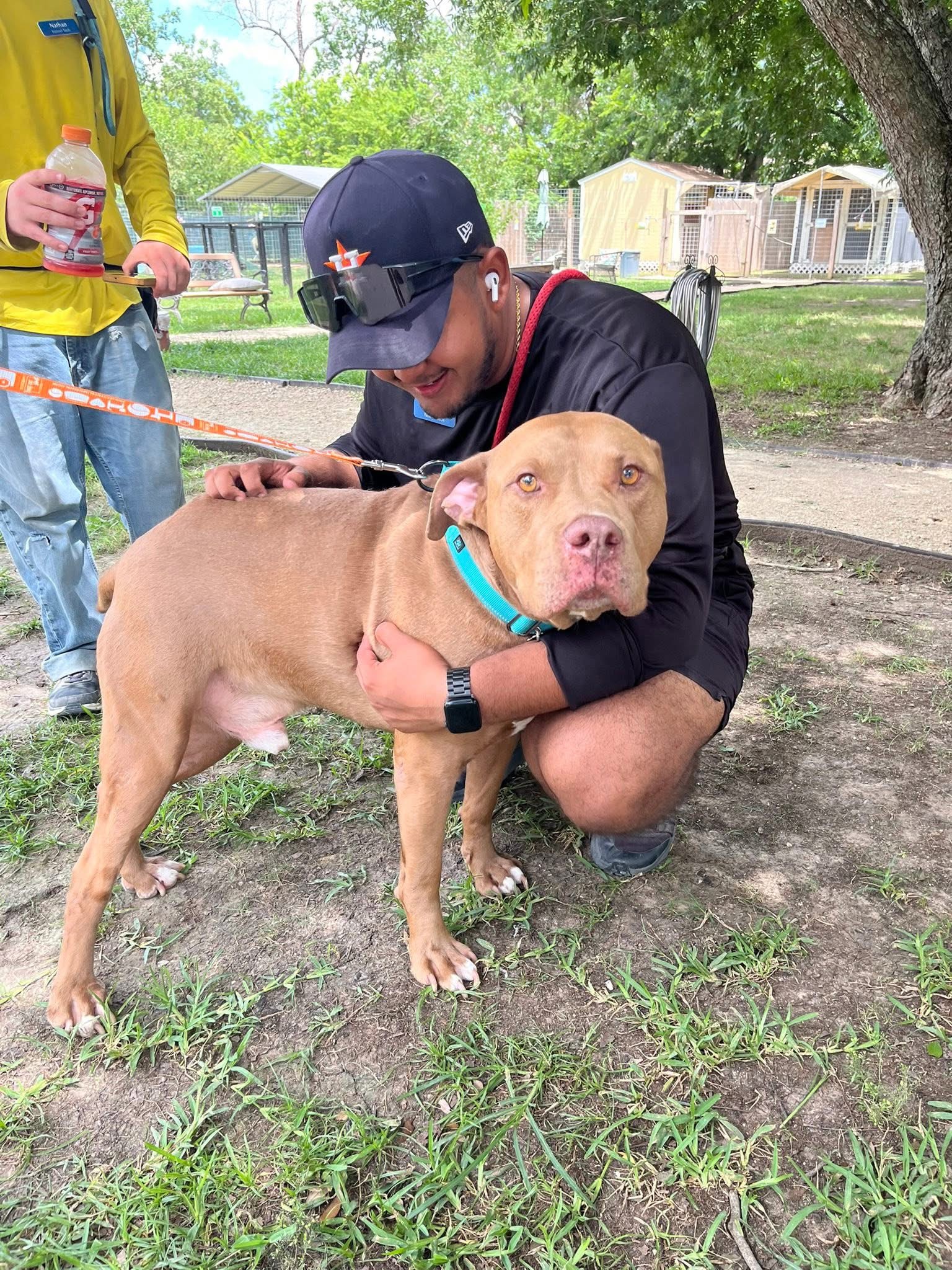 A man crouching to hug a large tan dog outdoors