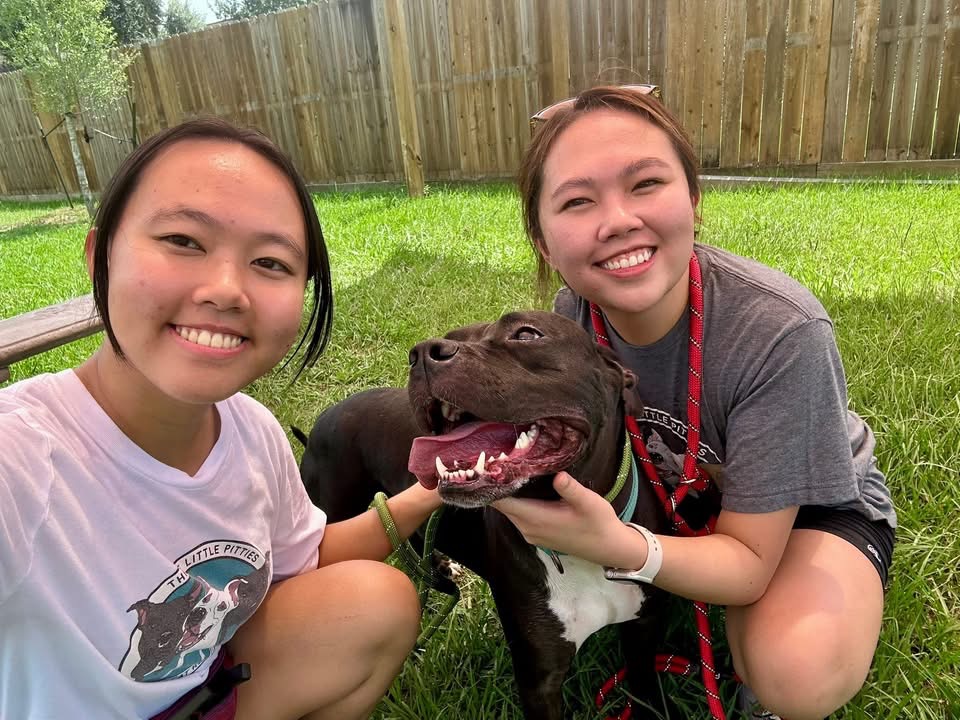 Two women sitting with a brown dog in a grassy fenced yard
